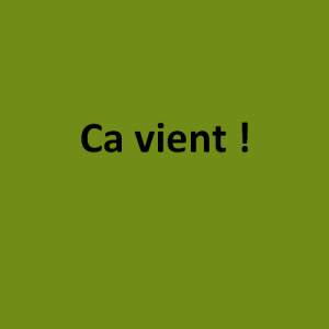 Fig. 4: Résultat final